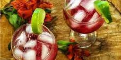 Gin com Xarope de Cranberry